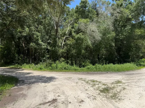 SW 139TH CT, Dunnellon, FL 34432