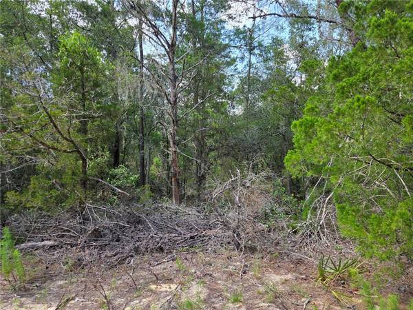 0000 NE 95TH ST, Archer, FL 32618