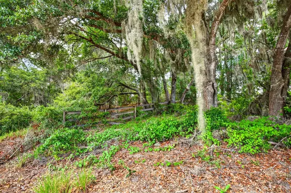 MALAUKA LOOP, Ocklawaha, FL 32179