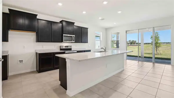 3014 CANOPY OAK BLVD, Wildwood, FL 34785