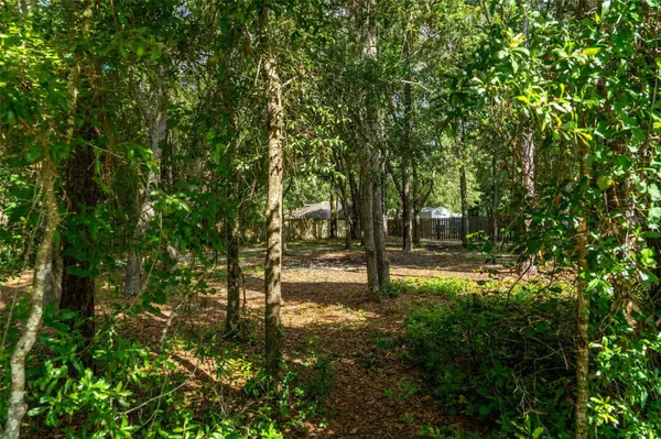 40 DEER TRAIL CIR, Bronson, FL 32621