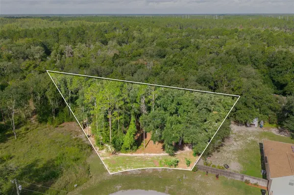 40 DEER TRAIL CIR, Bronson, FL 32621