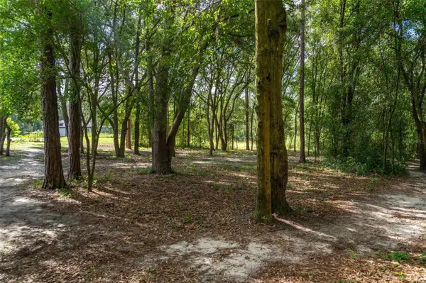 40 DEER TRAIL CIR, Bronson, FL 32621