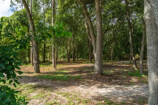 40 DEER TRAIL CIR, Bronson, FL 32621