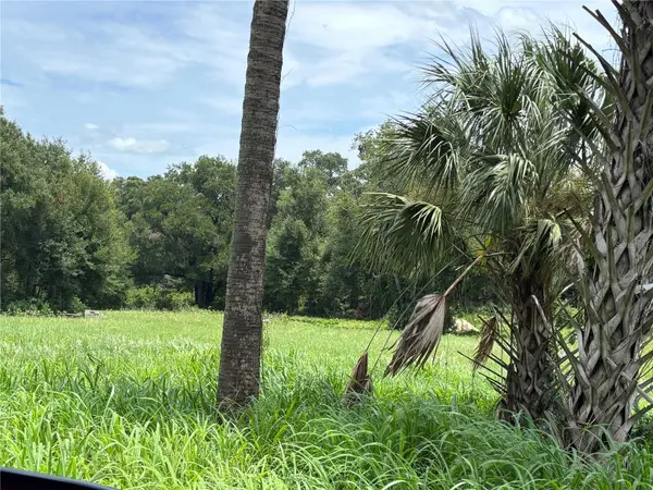 NE 23, Citra, FL 32113