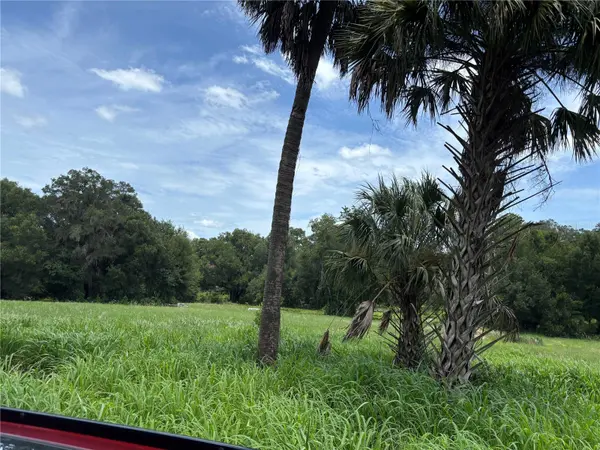 NE 23, Citra, FL 32113