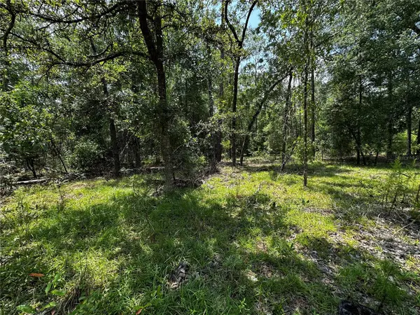 6270 NE 139TH AVE, Williston, FL 32696