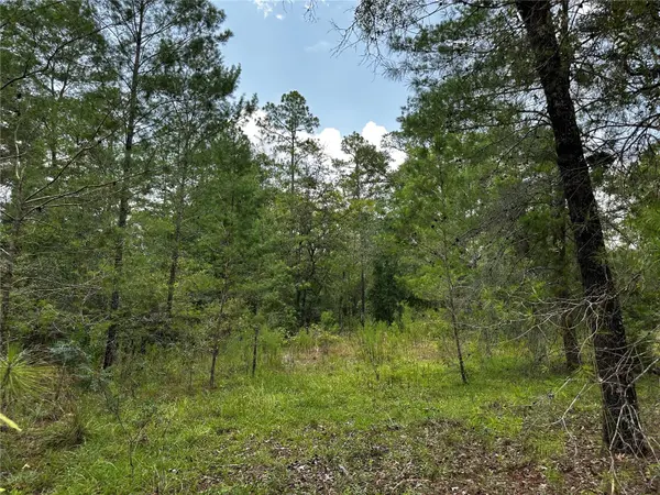 6270 NE 139TH AVE, Williston, FL 32696