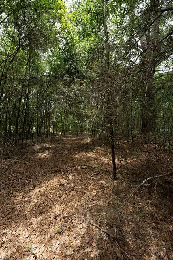 TBD SE 55TH ST, Morriston, FL 32668