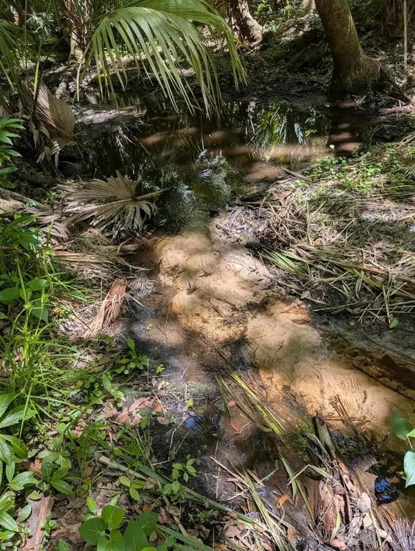 0 NW 202ND PL, Mc Intosh, FL 32664
