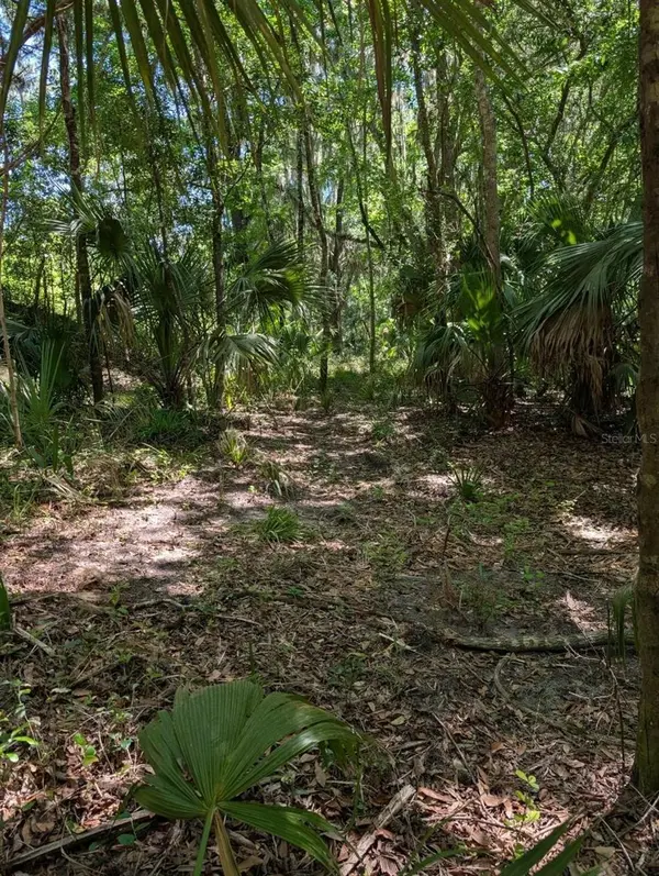 0 NW 202ND PL, Mc Intosh, FL 32664