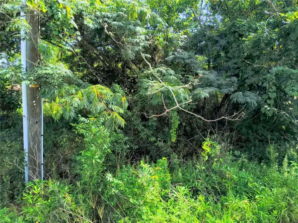 TBD NW 6TH PL, Ocala, FL 34482