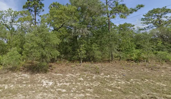 6791 DARLINGTON DR, Citrus Springs, FL 34434