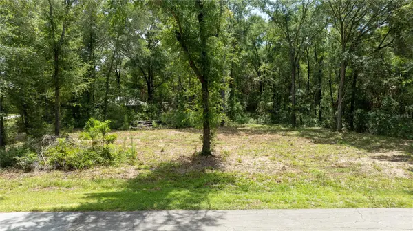 000 NE 155TH CT, Williston, FL 32696