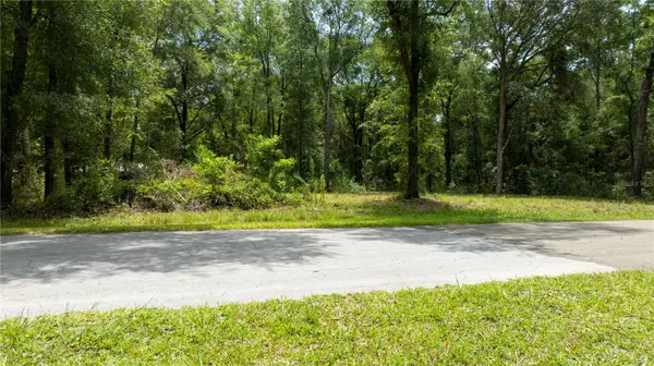 000 NE 155TH CT, Williston, FL 32696