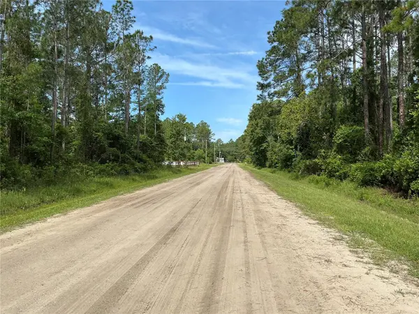 4425 JOYCE ST, Hastings, FL 32145
