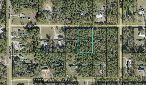 4425 JOYCE ST, Hastings, FL 32145