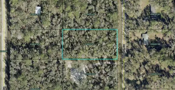 10135 MCMAHON AVE, Hastings, FL 32145