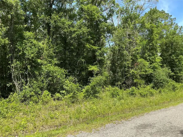 10135 MCMAHON AVE, Hastings, FL 32145