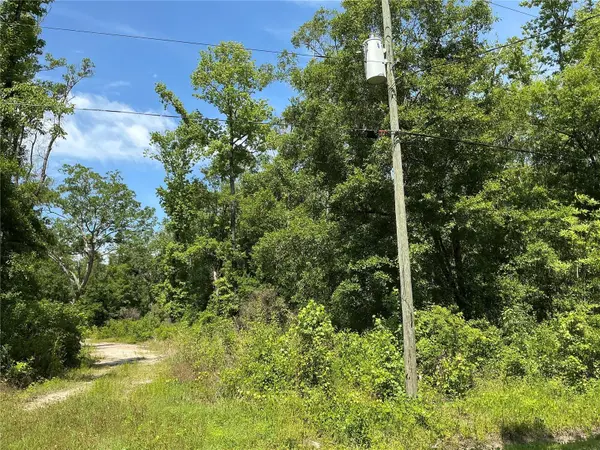 10135 MCMAHON AVE, Hastings, FL 32145
