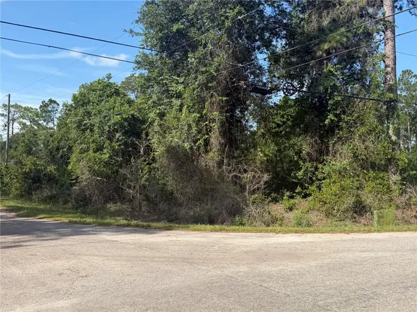 TBD MALAUKA TER, Ocklawaha, FL 32179