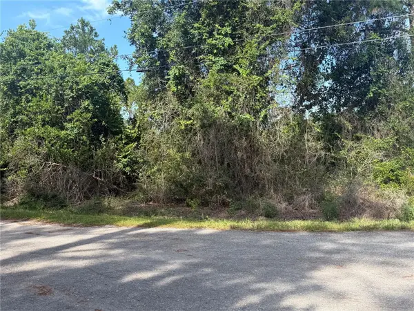 TBD MALAUKA TER, Ocklawaha, FL 32179