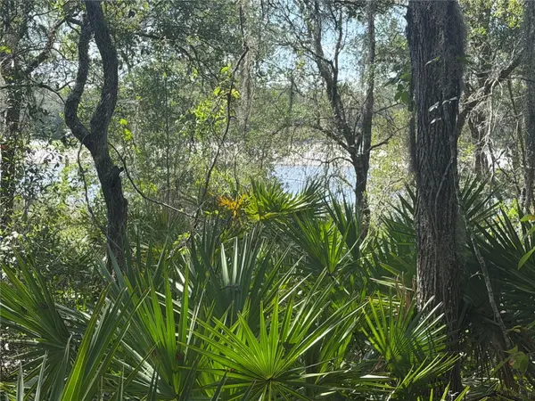 TBD MALAUKA PASS TRL, Ocklawaha, FL 32179