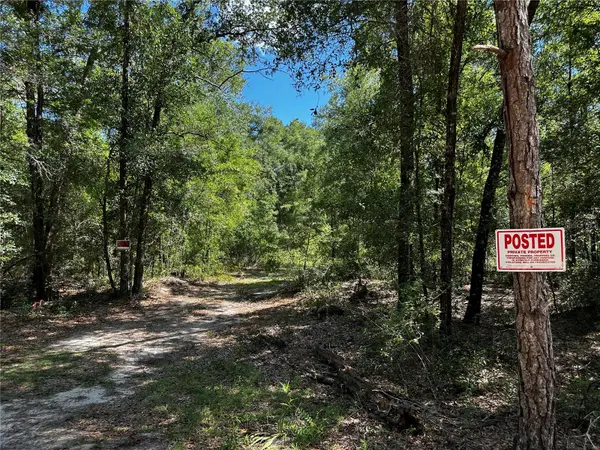 TBD NE 81ST ST, Bronson, FL 32621