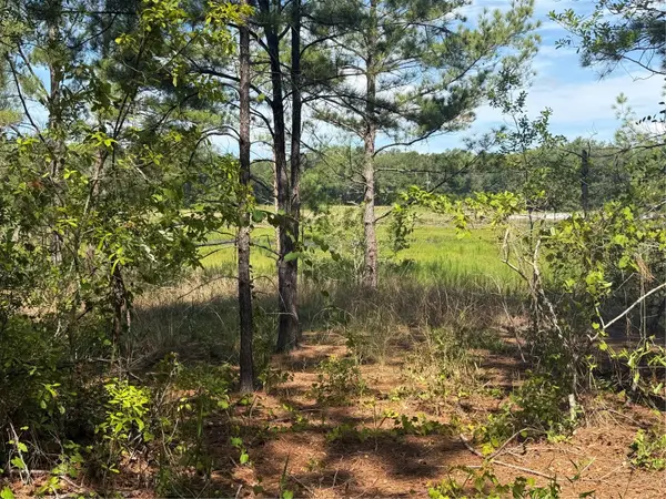 TBD GUAVA TER, Ocklawaha, FL 32179