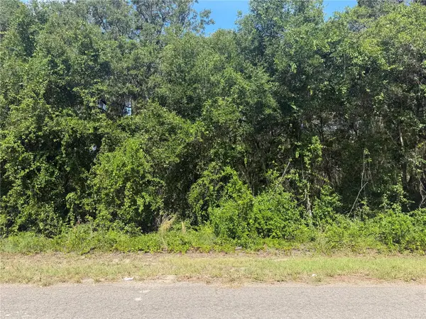 TBD GUAVA TER, Ocklawaha, FL 32179