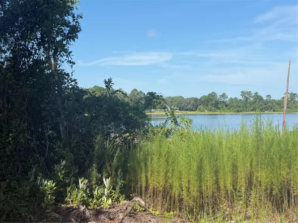 TBD MALAUKA RADL, Ocklawaha, FL 32179