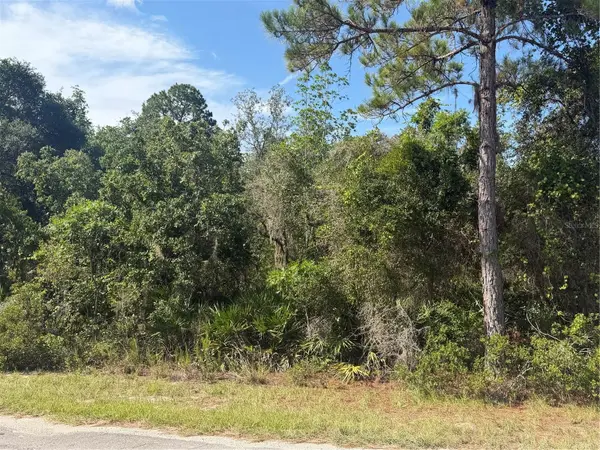 TBD MALAUKA RADL, Ocklawaha, FL 32179