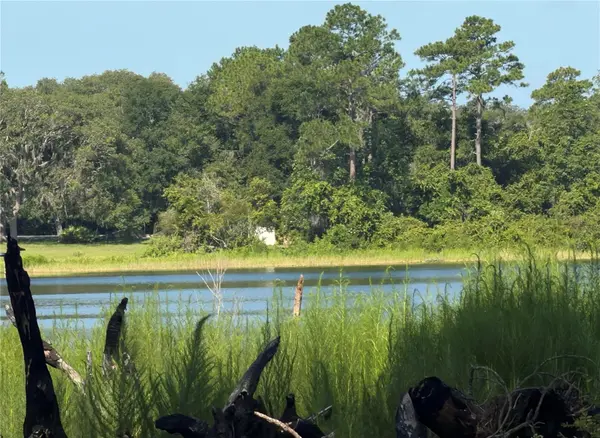 TBD MALAUKA RADL, Ocklawaha, FL 32179