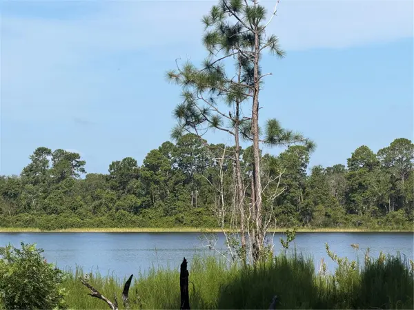 TBD MALAUKA RADL, Ocklawaha, FL 32179