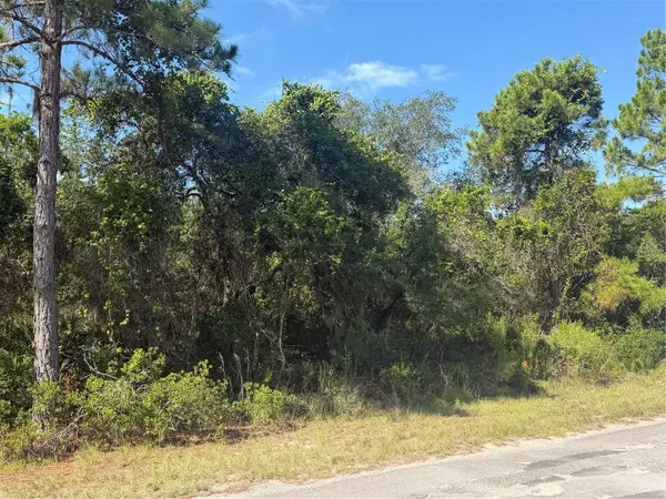 TBD MALAUKA RADL, Ocklawaha, FL 32179