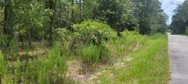 0 NW CHESTNUT AVE, Dunnellon, FL 34431