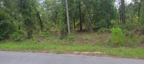 0 NW HIGHVIEW AVE, Dunnellon, FL 34431