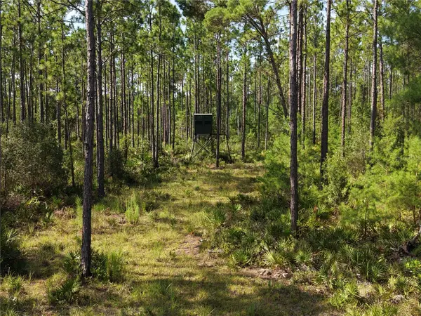 375 BUCK SPRINGS RD, Palatka, FL 32177