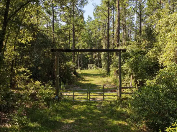 375 BUCK SPRINGS RD, Palatka, FL 32177