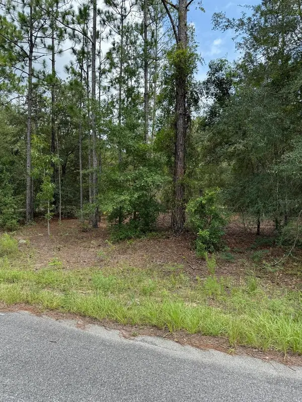 6461 N ELNORA WAY, Citrus Springs, FL 34433