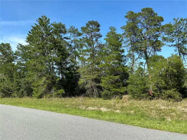 TBD SW 35TH AVENUE RD, Ocala, FL 34473