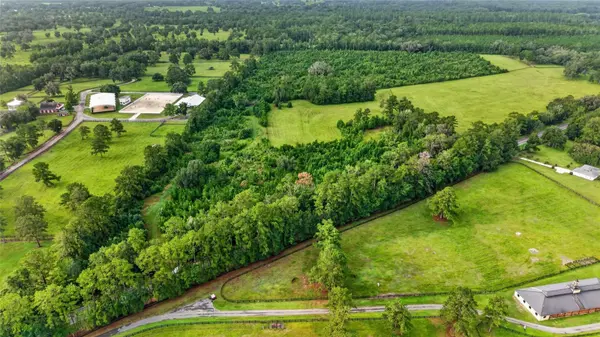 15958 W HWY 318, Williston, FL 32696