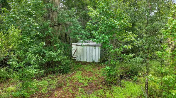 15958 W HWY 318, Williston, FL 32696