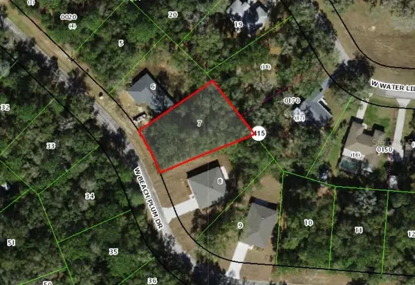 2031 W BEACH PLUM DR, Citrus Springs, FL 34434