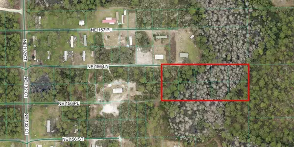 TBD NE 156TH LN, Fort Mc Coy, FL 32134