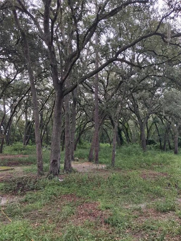 7484 SW 150TH ST, Dunnellon, FL 34432