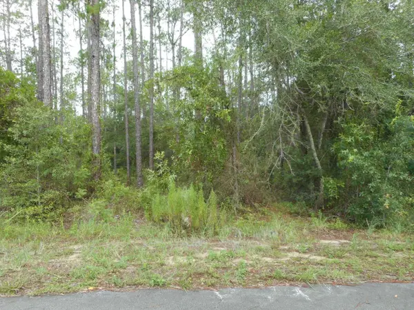 Lot 5 SW SOUTHVIEW CT, Dunnellon, FL 34431