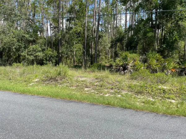 LOT 23 SW TIGER LAKE BLVD W, Dunnellon, FL 34431