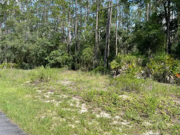 LOT 23 SW TIGER LAKE BLVD W, Dunnellon, FL 34431
