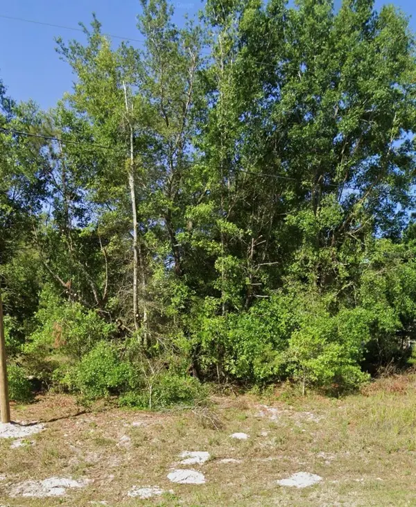FISHER RD, Ocklawaha, FL 32179